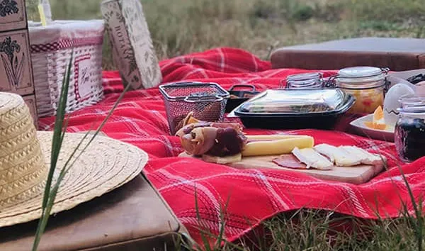 Manta de picnic com cesta na quinta